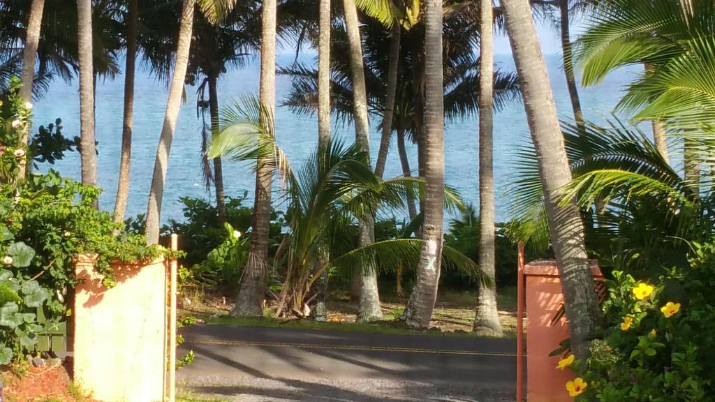 Whale House At Kehena Beach Pahoa Quarto foto
