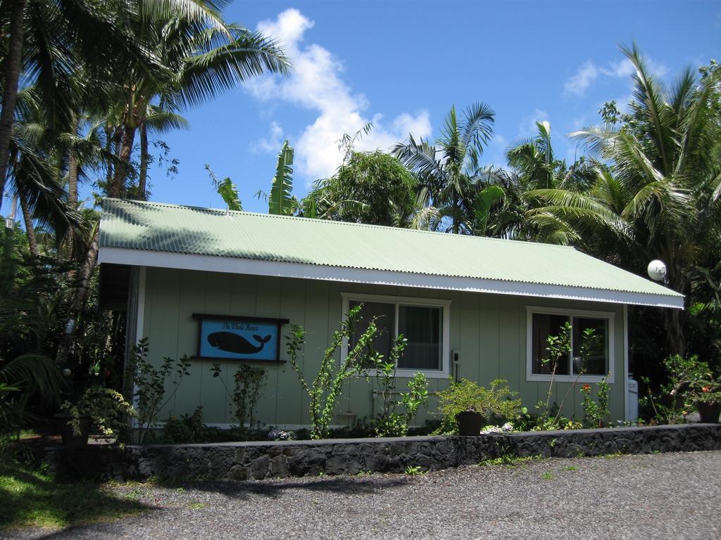 Whale House At Kehena Beach Pahoa Quarto foto
